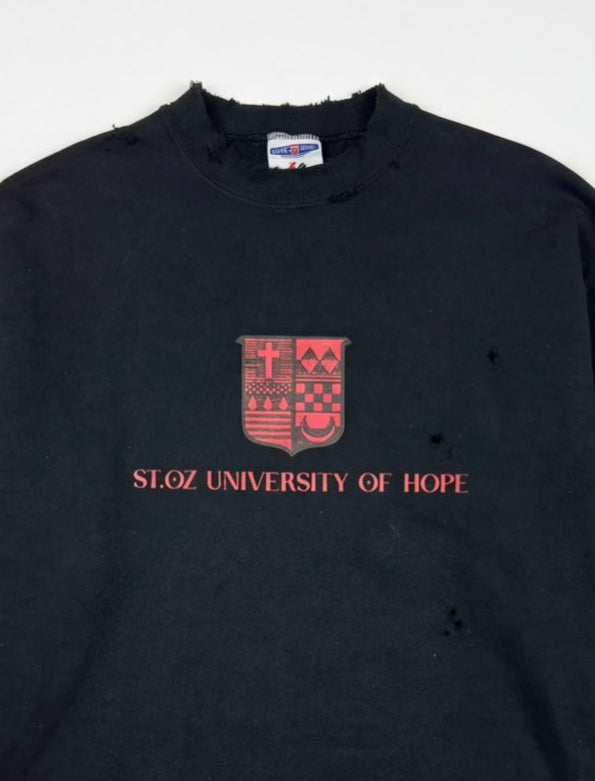 Studio Work No. 047 — UNIVERSITY OF HOPE CREWNECK