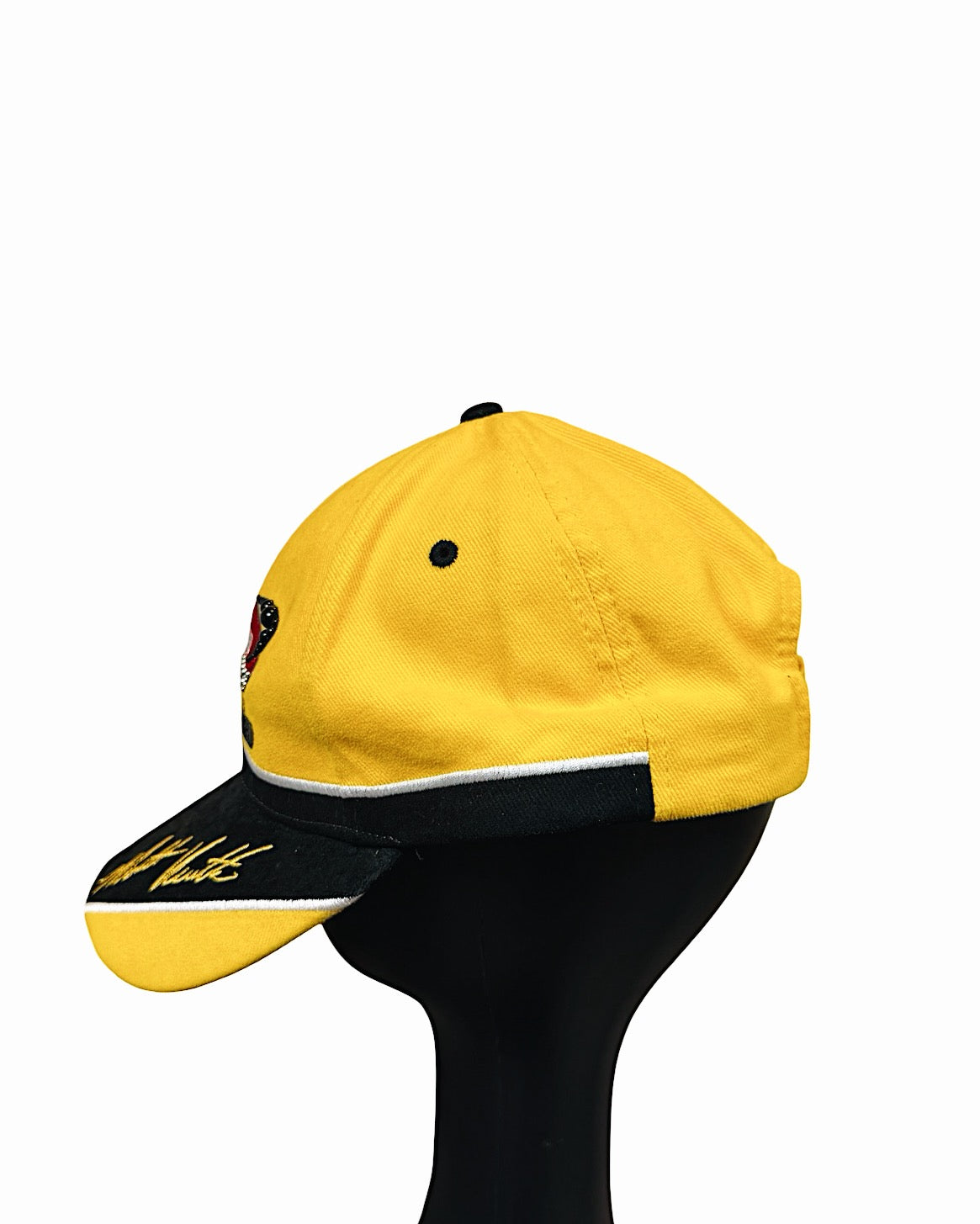 Recovered Artifact No. 337 — NASCAR Winston Cup 2003 Cap