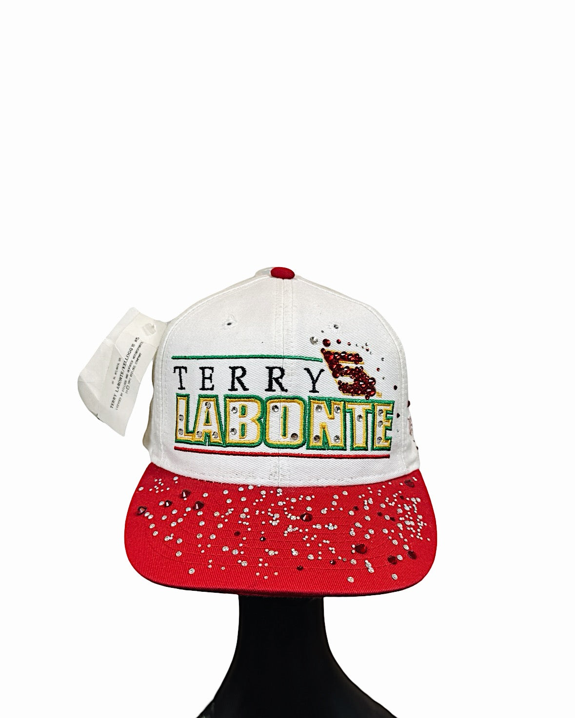 Recovered Artifact No. 055 — Terry Labonte NASCAR Snapback (One Size – Adjustable)